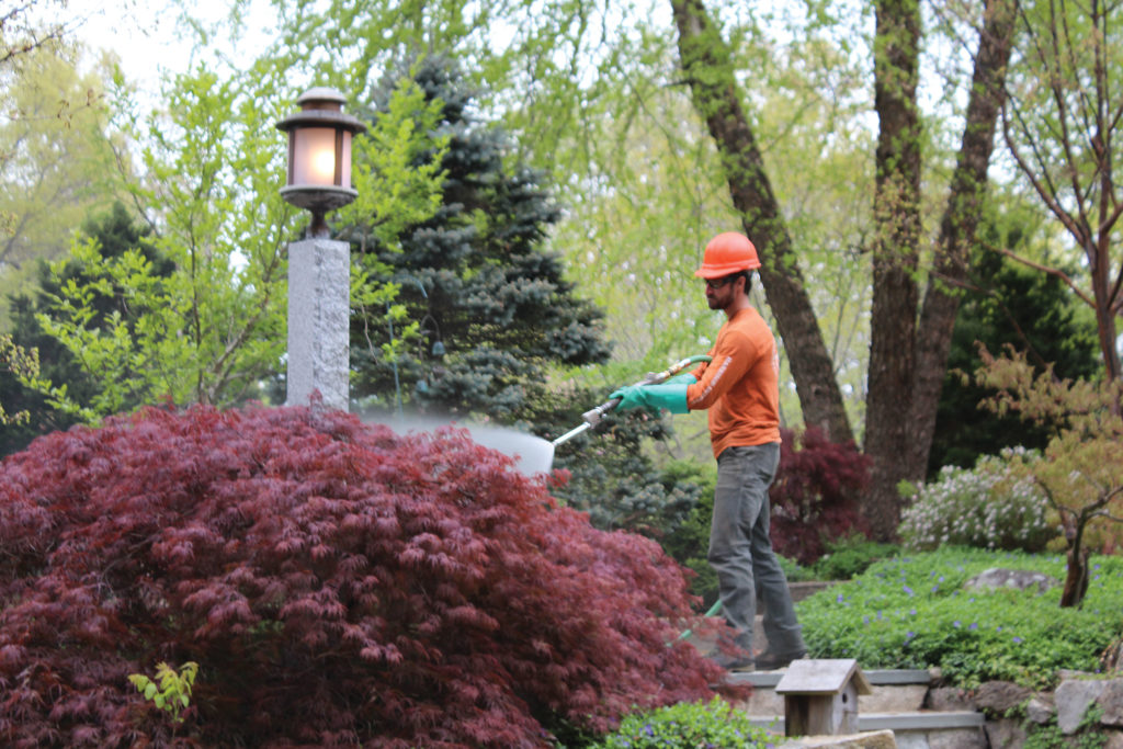 A crew member with Harrison McPhee, Inc., an accredited, seven year TCIA member company based in Millis, Massachusetts, demonstrates spray techniques for a plant health care photo shoot. TCIA file photo.