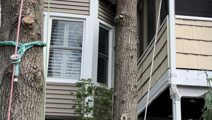 Houe with a tree trunk and equipment tied around the tree.