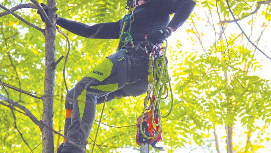 Echo 2500TN X Series battery-powered chain saw