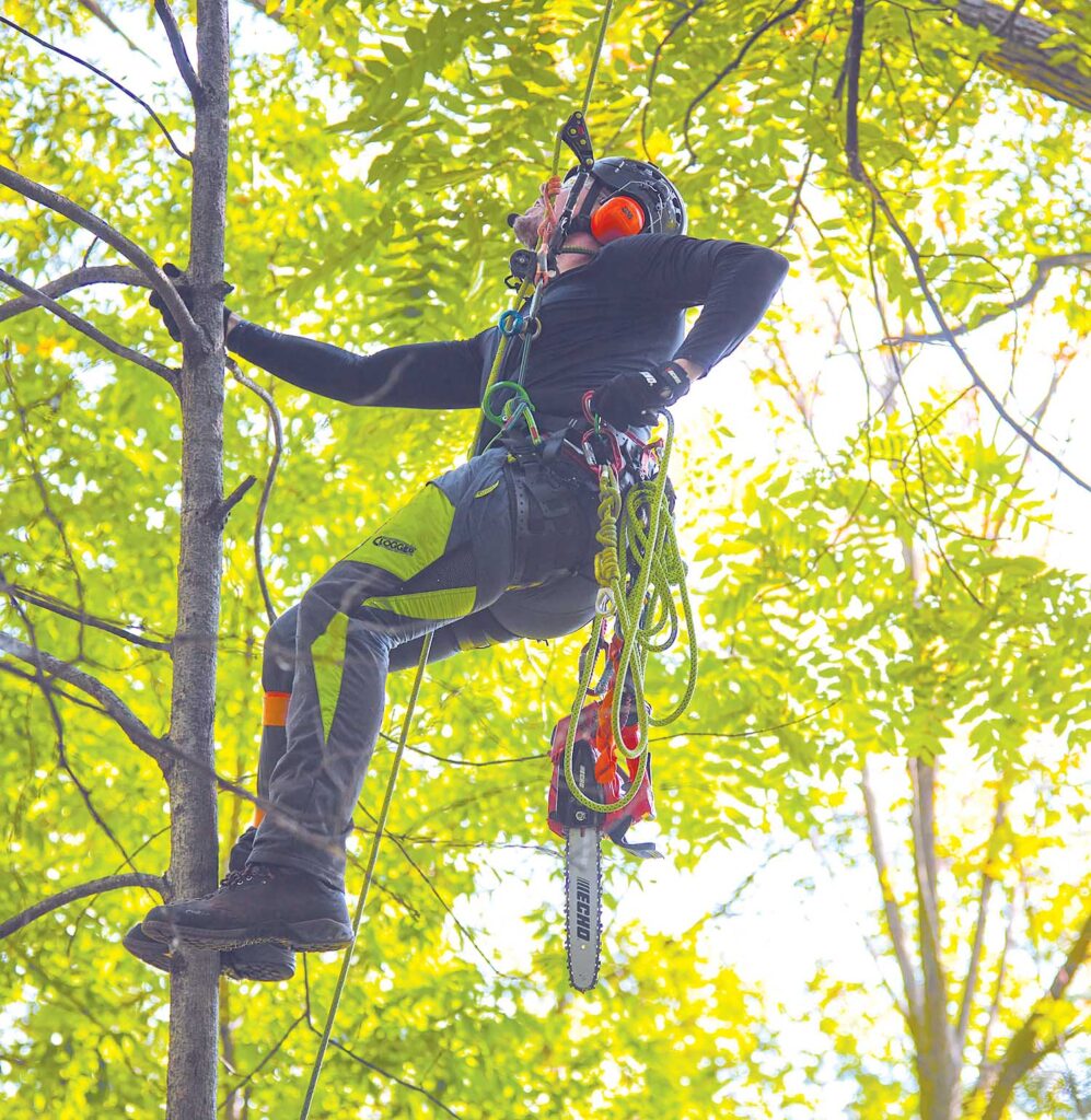 Echo 2500TN X Series battery-powered chain saw