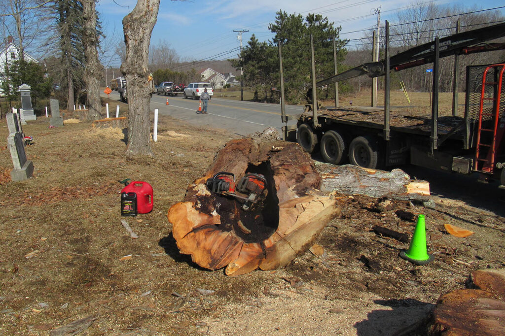 Just because it is on the ground doesn’t mean it is harmless. Photo courtesy of Tim Basham.