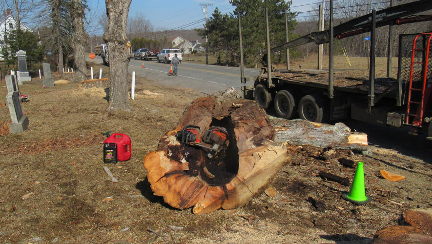 Just because it is on the ground doesn’t mean it is harmless. Photo courtesy of Tim Basham.