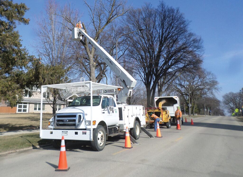 Arborists are exposed to many hazards, from passing traffic to operating at heights.