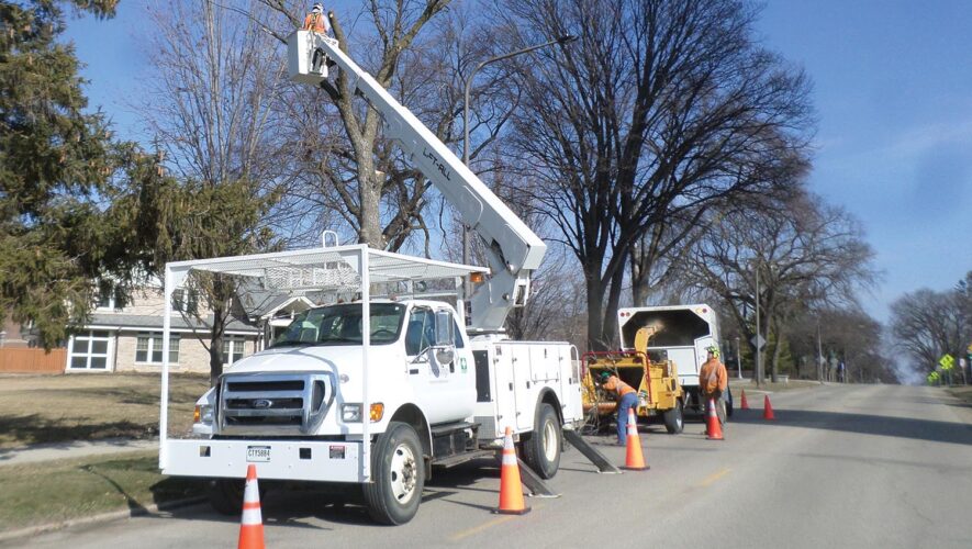 Arborists are exposed to many hazards, from passing traffic to operating at heights.