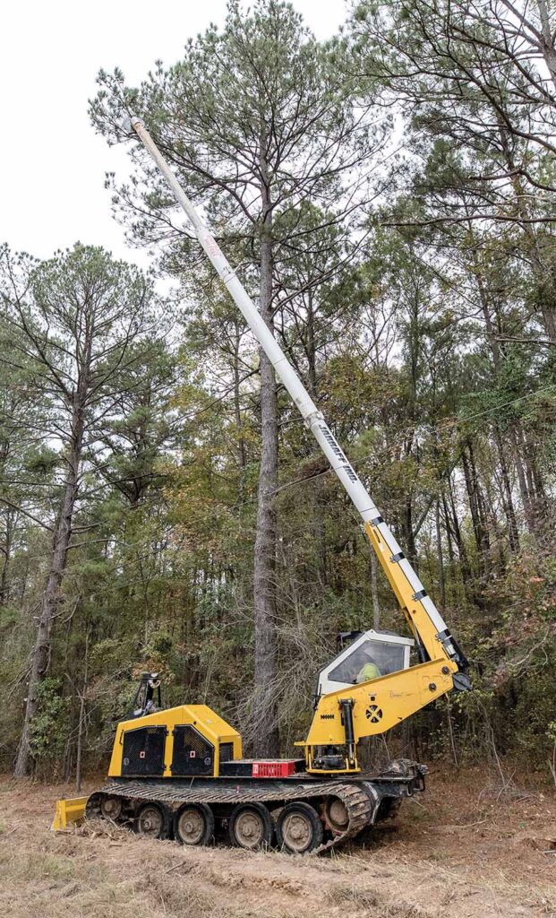 Photo 1: Utilities serving forested regions mitigate high costs by utilizing mechanical pruning methods. Photo courtesy of Asplundh.