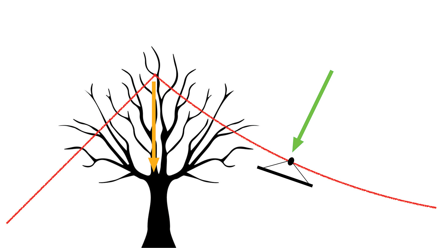 Figure 3: If the anchor is below and behind the primary rigging point, the tree will be loaded in compression (orange arrow) when the load affects the vector (green arrow).