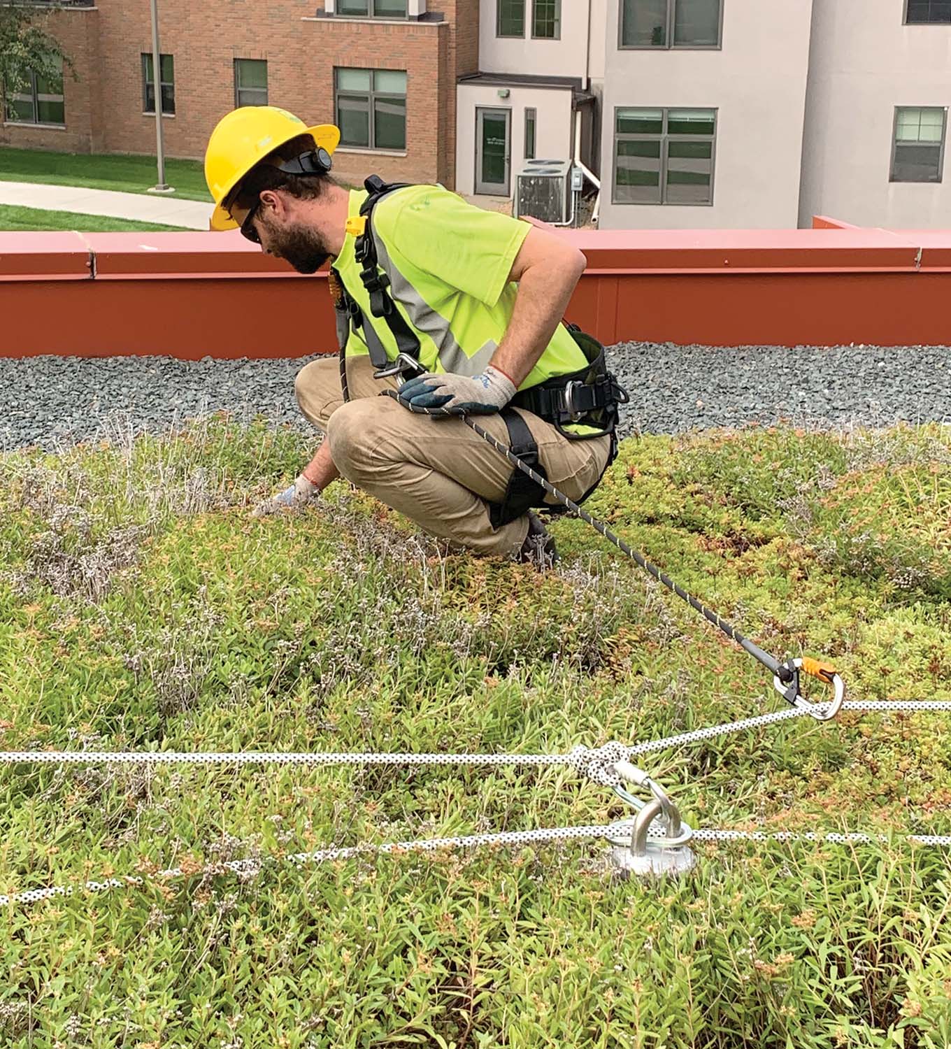 Photo 5: Worker weeding in fall restraint, connected to the horizontal lifeline. non-traditional job site. 