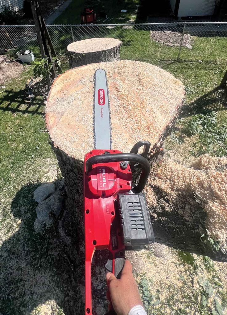 The M18 is red, so if you are a field arborist, you’re probably more accustomed to orange saws.