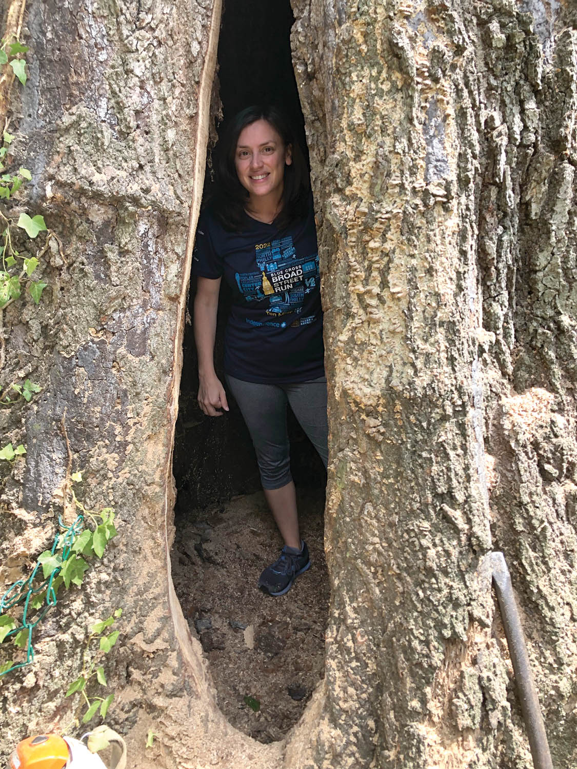 Photo 5: Trees can tolerate large amounts of heart rot before their stability is threatened. Photo by Salvatore Scarpato, Nova Tree Company.
