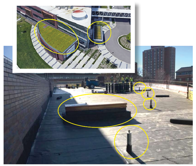 Above Inset, Photo 1: Two green roofs. All photos courtesy of the authors. Photo 2: This photo shows, circled, engineered anchors during construction of the green roof, as well as the interior stairwell for roof access.
