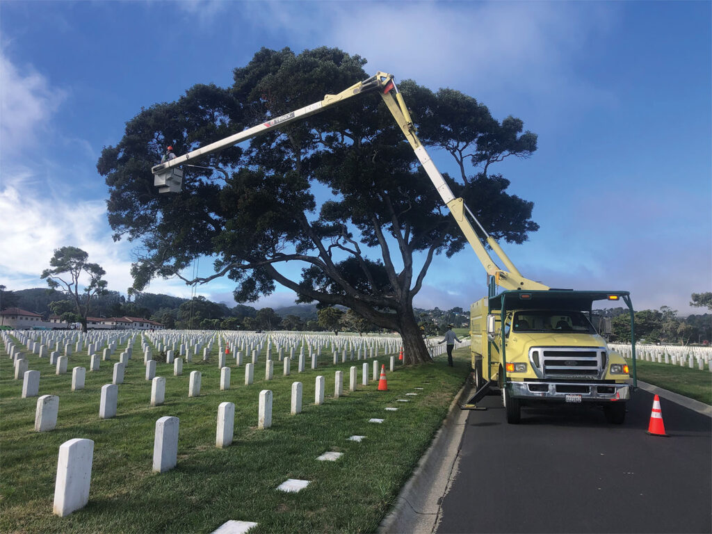 Arborists from Bartlett Tree Experts offices across the U.S. donate a day of tree work each September to honor America’s military service men and women during the Saluting Branches Day of Service. Photo courtesy of Bartlett Tree Experts.