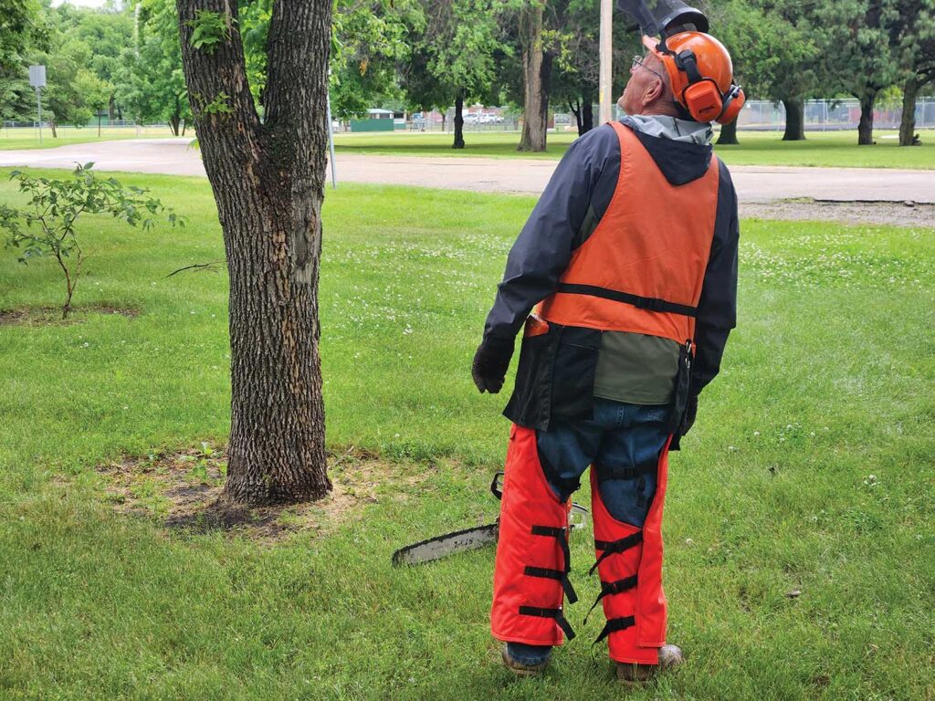 Our profession, as with many others, is rapidly aging. It is not hard to find arborists in their 70s still actively involved in arboriculture.