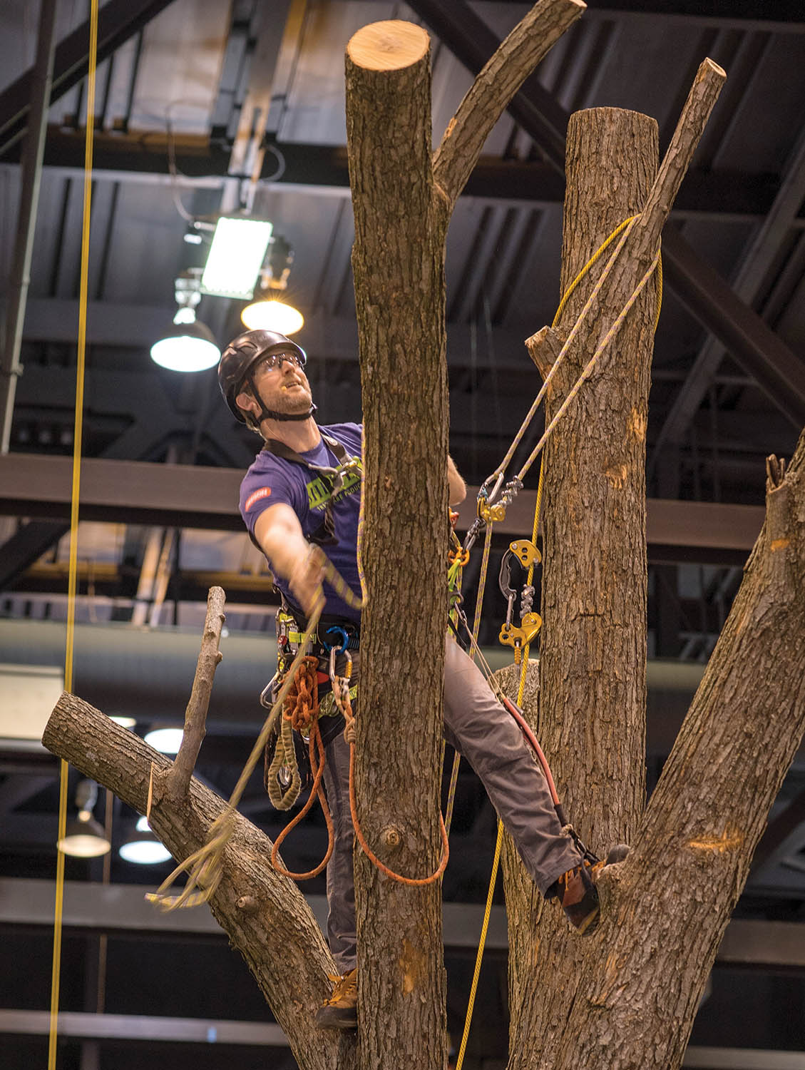 TCI EXPO wouldn’t be the same without the live tree demos. “I think it’s great to provide a unique and realistic training environment right on the trade-show floor,” says Bob Meade. All TCIA file photos.