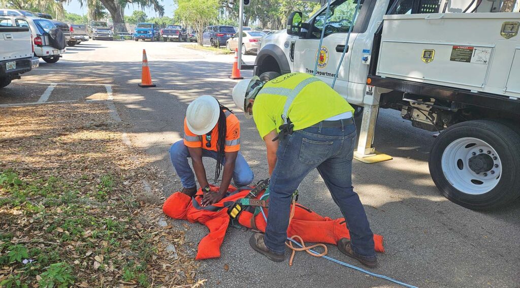 Practicing aerial rescue. Age is irrelevant when it comes to electrical shock. All tree workers – young and old – need to know how to work safely around power lines. All photos courtesy of the author.