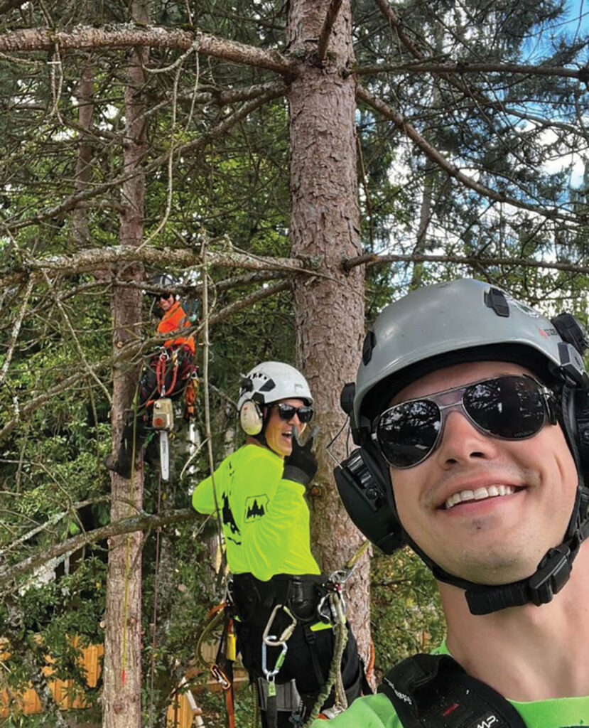 Climbers with Seattle Tree Care Company, an accredited, nine-year TCIA member company based in Seattle, Washington, and a participant in TCIA’s 401(k) program. Photo courtesy of Seattle Tree Care.